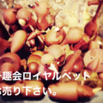 千趣会ロイヤルペット買取
