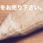 マッコウクジラの歯